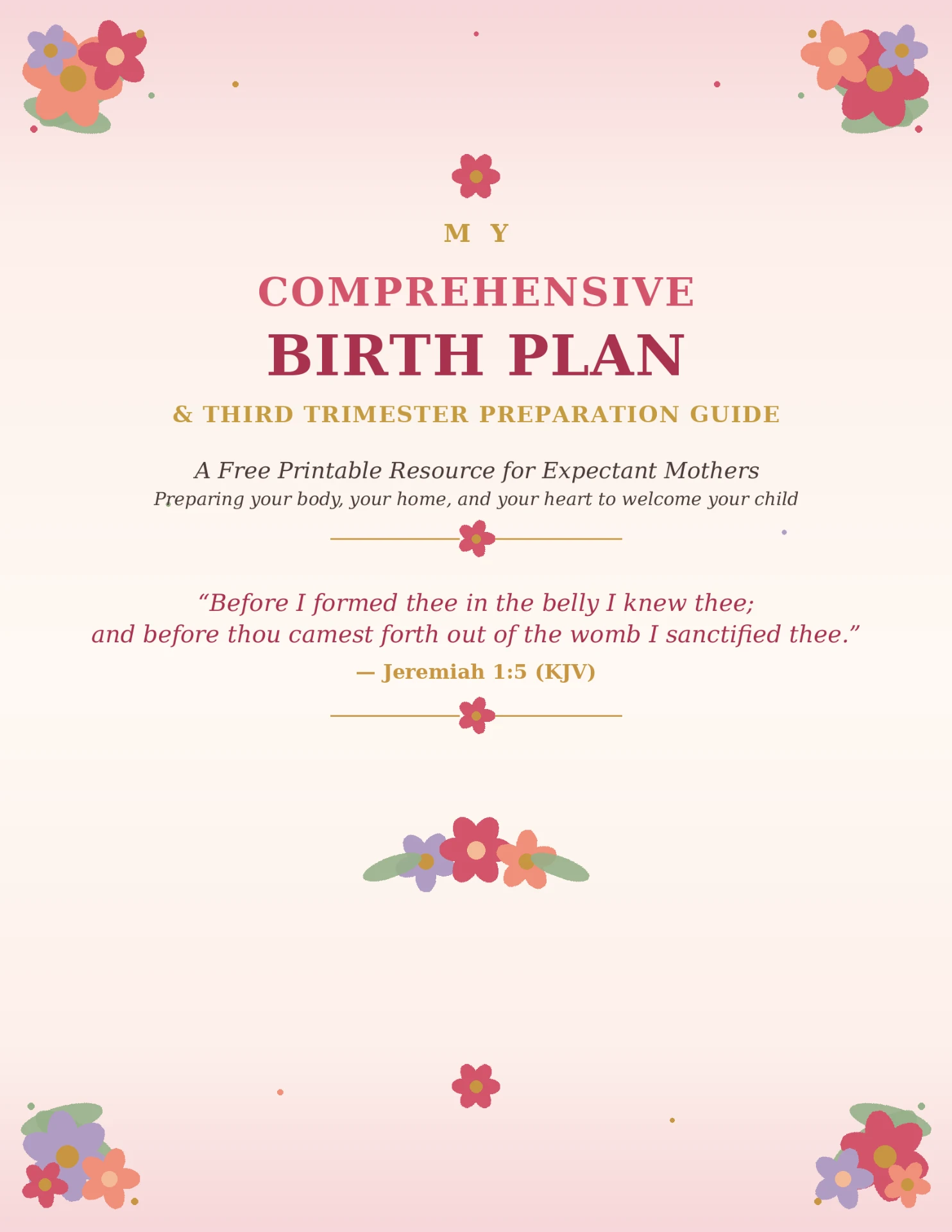 Comprehensive Birth Plan cover